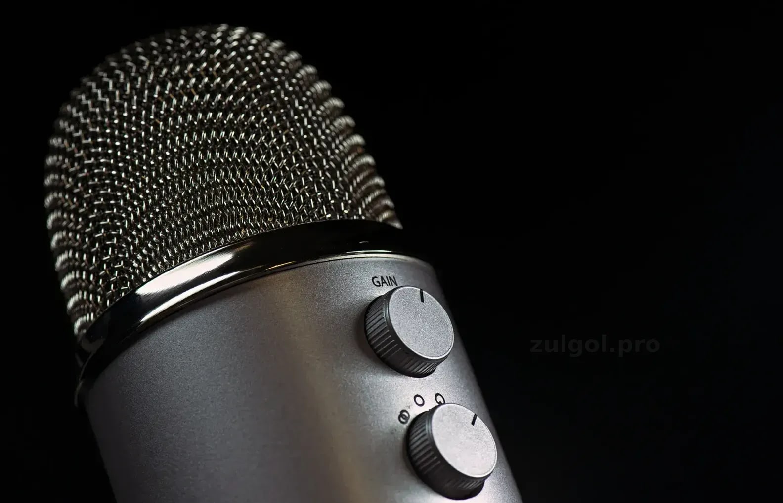 zulgol.pro